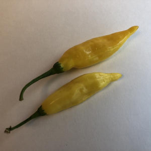 Aji Lemon Drop - Seeds - Bohica Pepper Hut 