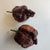 7 Pot Chocolate Brain Strain - Seeds - Bohica Pepper Hut 