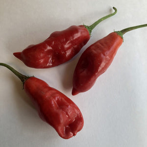 Aji - Pepper Seeds Combo Pack (7 Varieties) - Seeds - Bohica Pepper Hut 