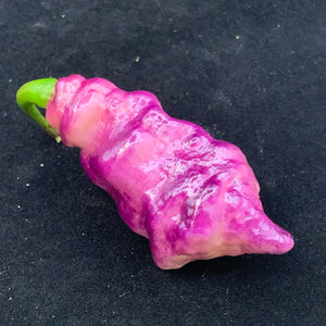 Pink Tiger - Seeds - Bohica Pepper Hut 