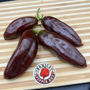 Brown Jalapeno - Seeds - Bohica Pepper Hut 