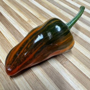 Bryans Blood Rainbow - Seeds