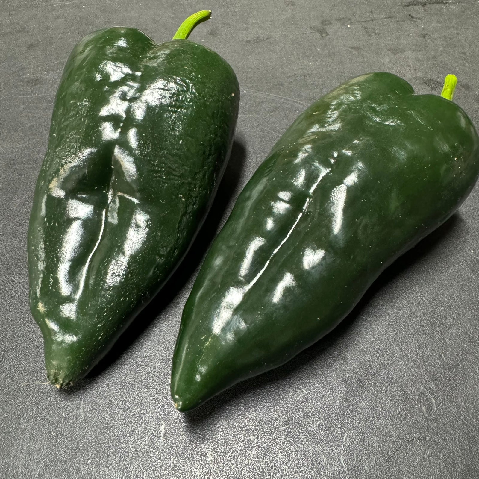 Poblano - Seeds