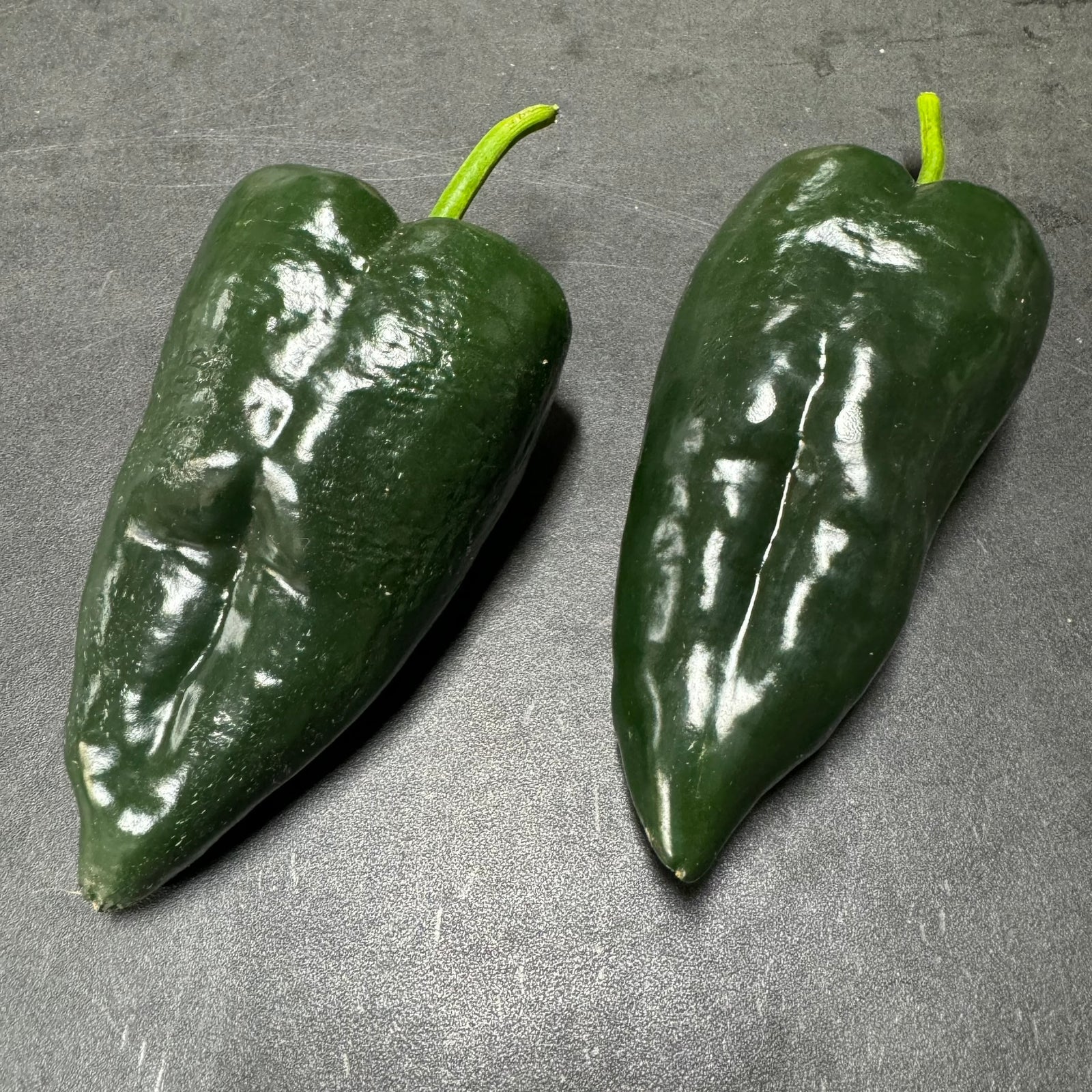 Poblano - Seeds