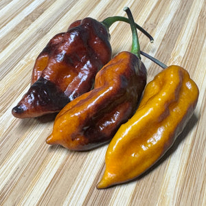 Black Bastard Yellow - Seeds