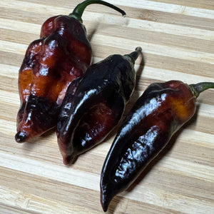 Black Bastard Yellow - Seeds