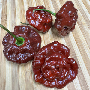 MOA Scotch Bonnet Chocolate - Seeds
