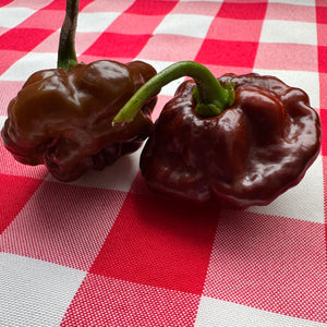 MOA Scotch Bonnet Chocolate - Seeds