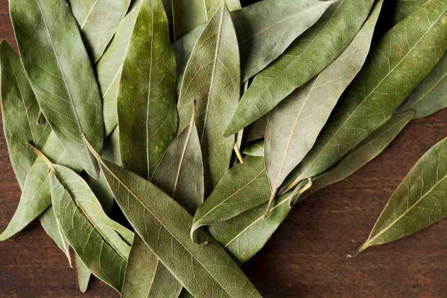 California Bay Leaf - Bohica Pepper Hut 