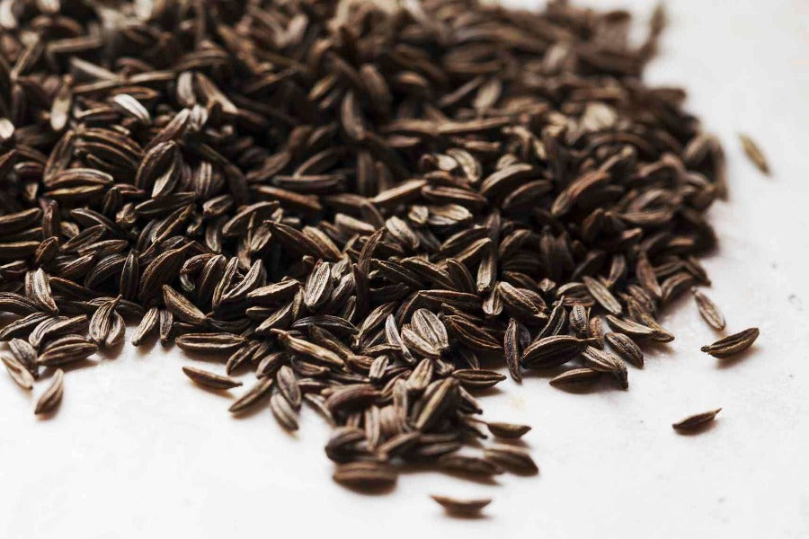 Caraway Seed - Bohica Pepper Hut 