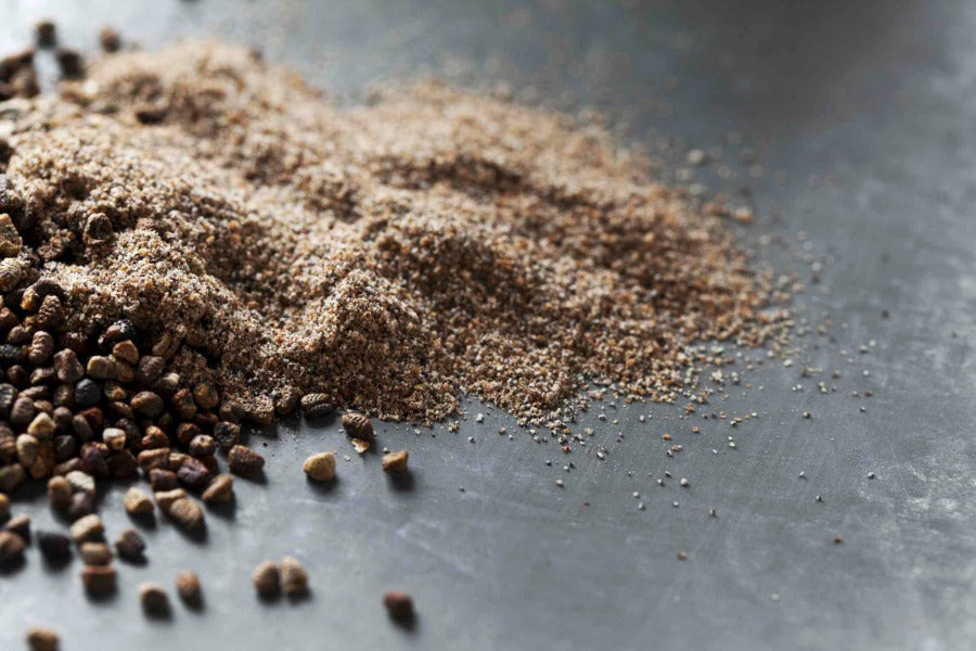 Cardamom Seed - Bohica Pepper Hut 