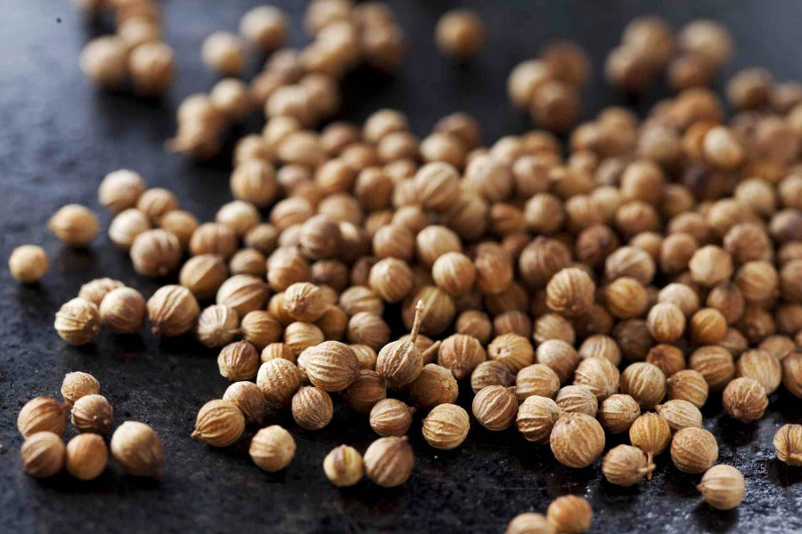 European Coriander Seed - Bohica Pepper Hut 