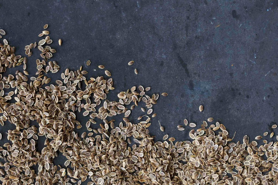 Dill Seed - Bohica Pepper Hut 