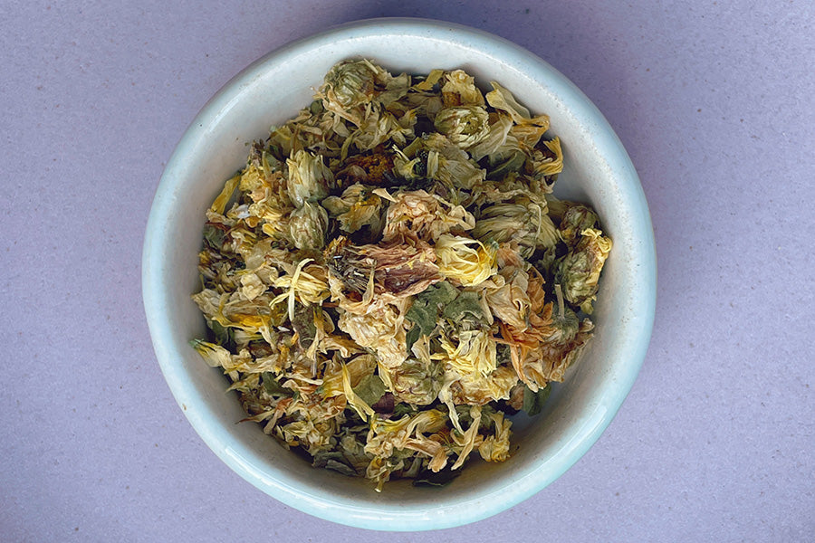 Chrysanthemum Flower - Bohica Pepper Hut 