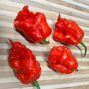 Apocalypse Scorpion - Seeds
