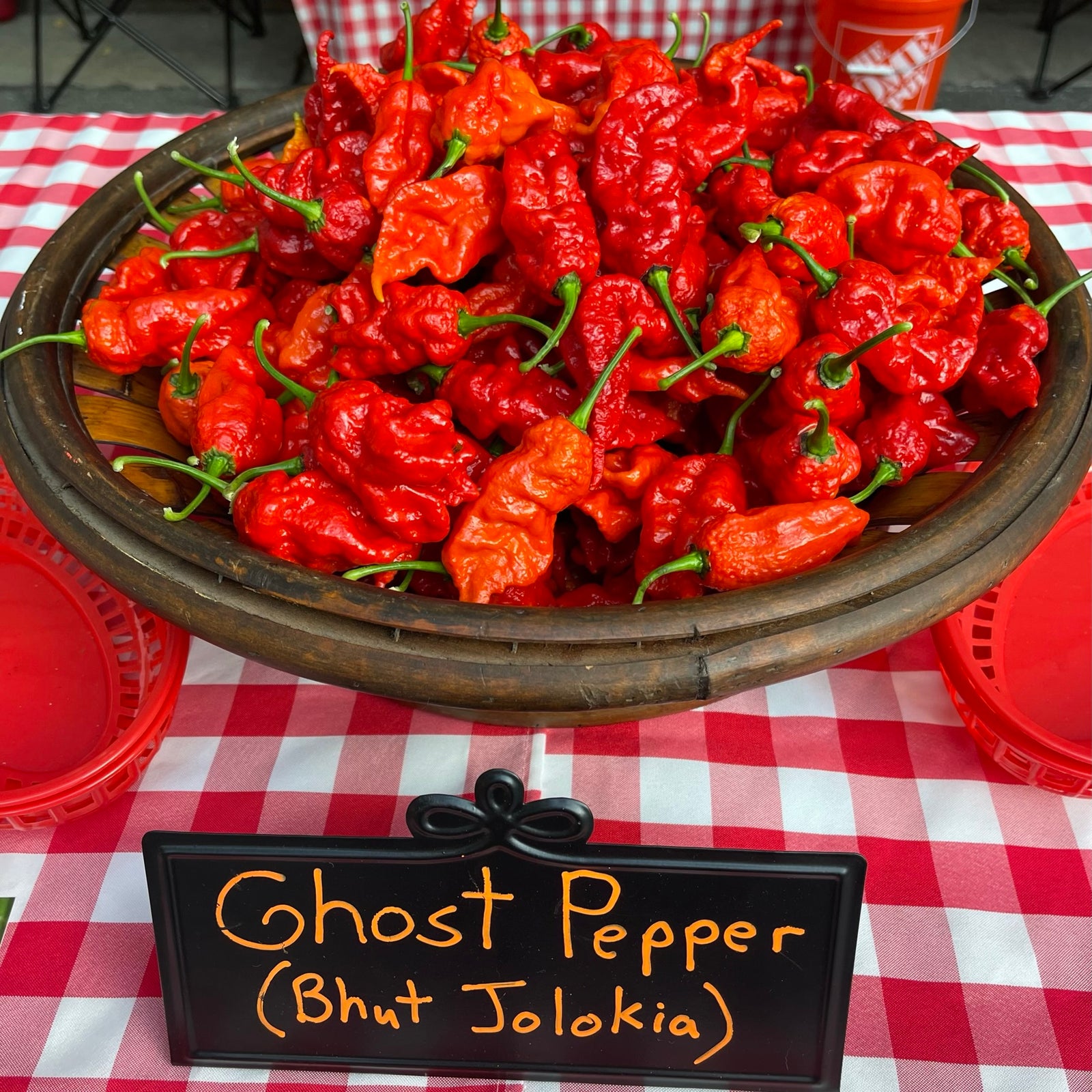 Bhut Jolokia Ghost - Seeds - Bohica Pepper Hut 