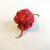 Best Sellers - Super Hot Pepper Seed Combo Pack (13 Varieties) - Seeds - Bohica Pepper Hut 