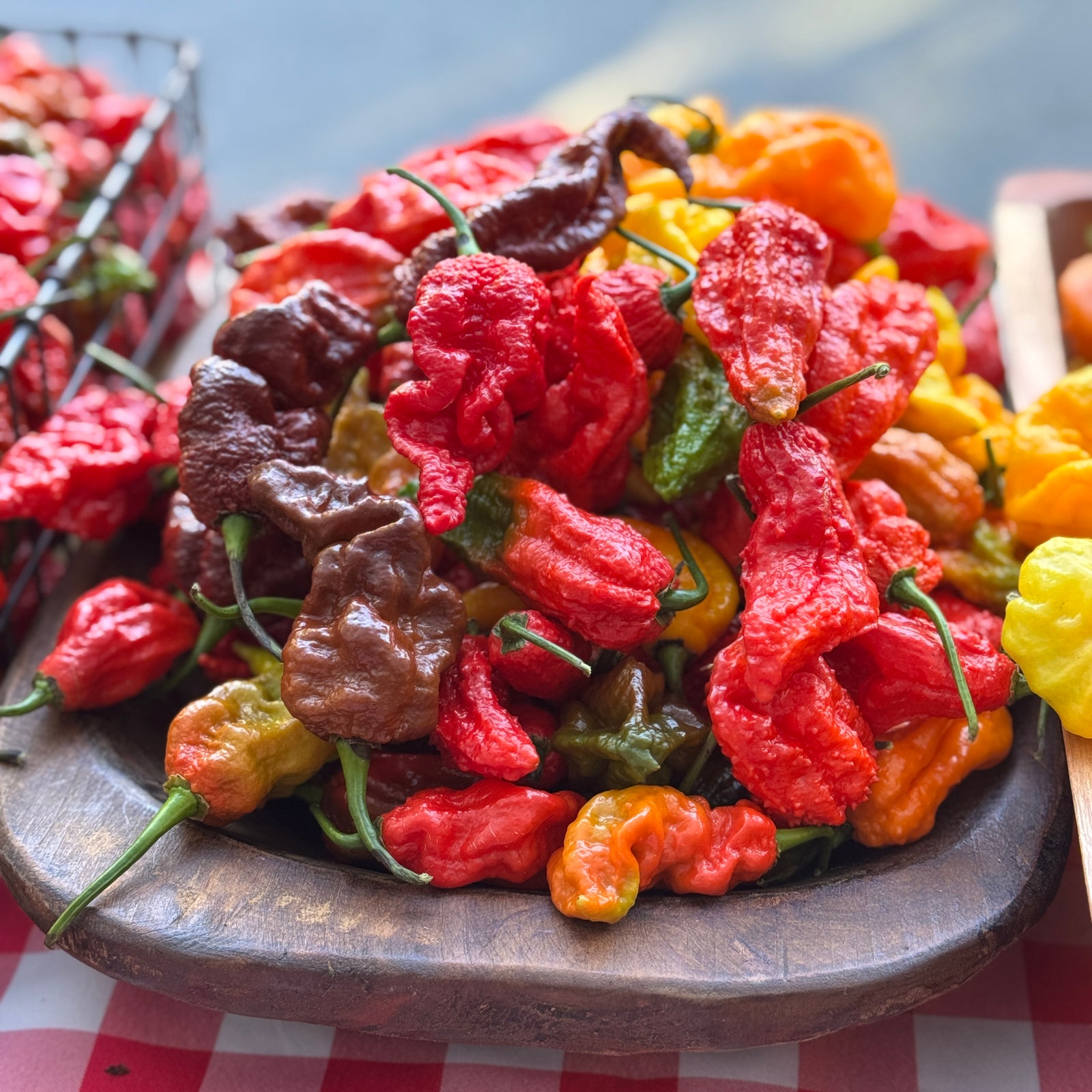 Fresh Mixed Bhut Jolokia Ghost Peppers (Red, Brown, Yellow)
