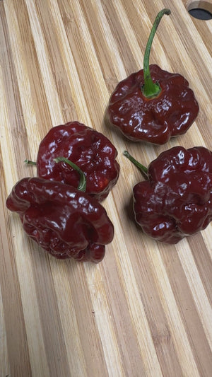 MOA Scotch Bonnet Chocolate - Seeds