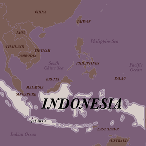Lampung (Lampong) Sumatra Indonesia Black Pepper