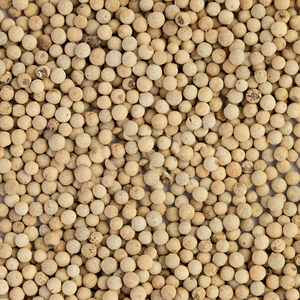White Peppercorn