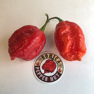 Skunk Red - Seeds - Bohica Pepper Hut 