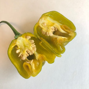 Trinidad Mustard Scorpion - Seeds - Bohica Pepper Hut 