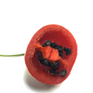 Red Rocoto - Seeds - Bohica Pepper Hut 