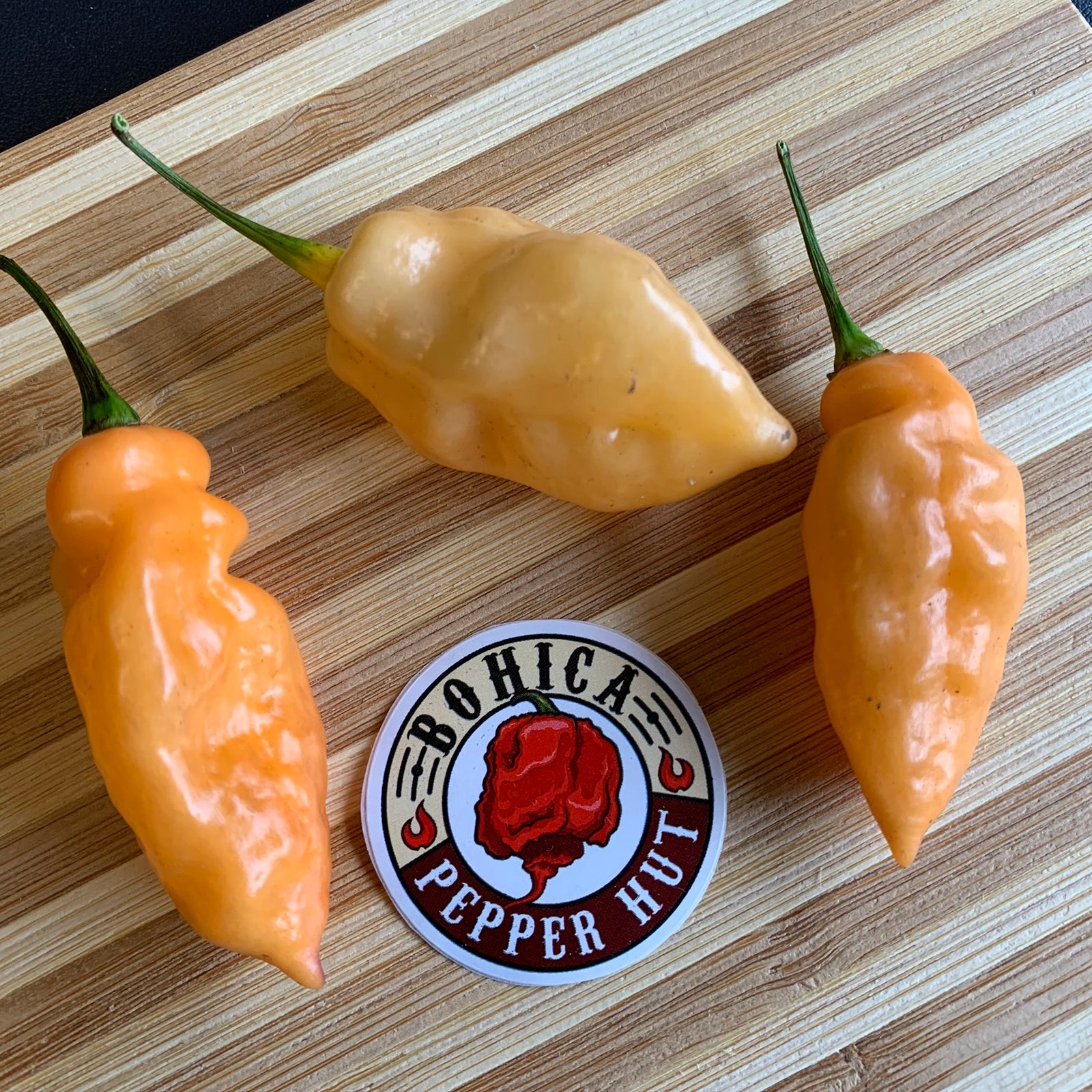 Bhut Jolokia Peach x Pimenta de Neyde - Seeds - Bohica Pepper Hut 