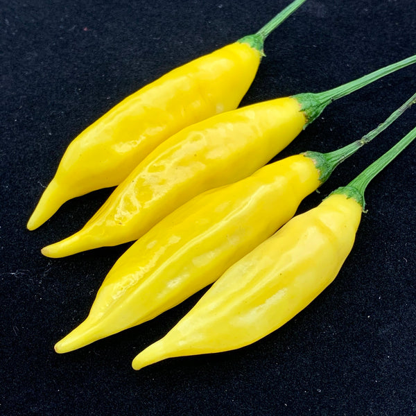aji pineapple pepper plant Aji Pineapple - Seeds