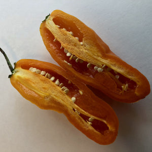 Aji Yellow - Seeds - Bohica Pepper Hut 