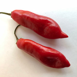 Aji Sugar Rush Red - Seeds - Bohica Pepper Hut 