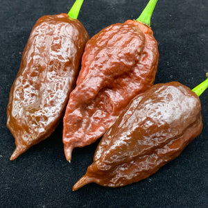 Madballz Chocolate - Seeds - Bohica Pepper Hut 
