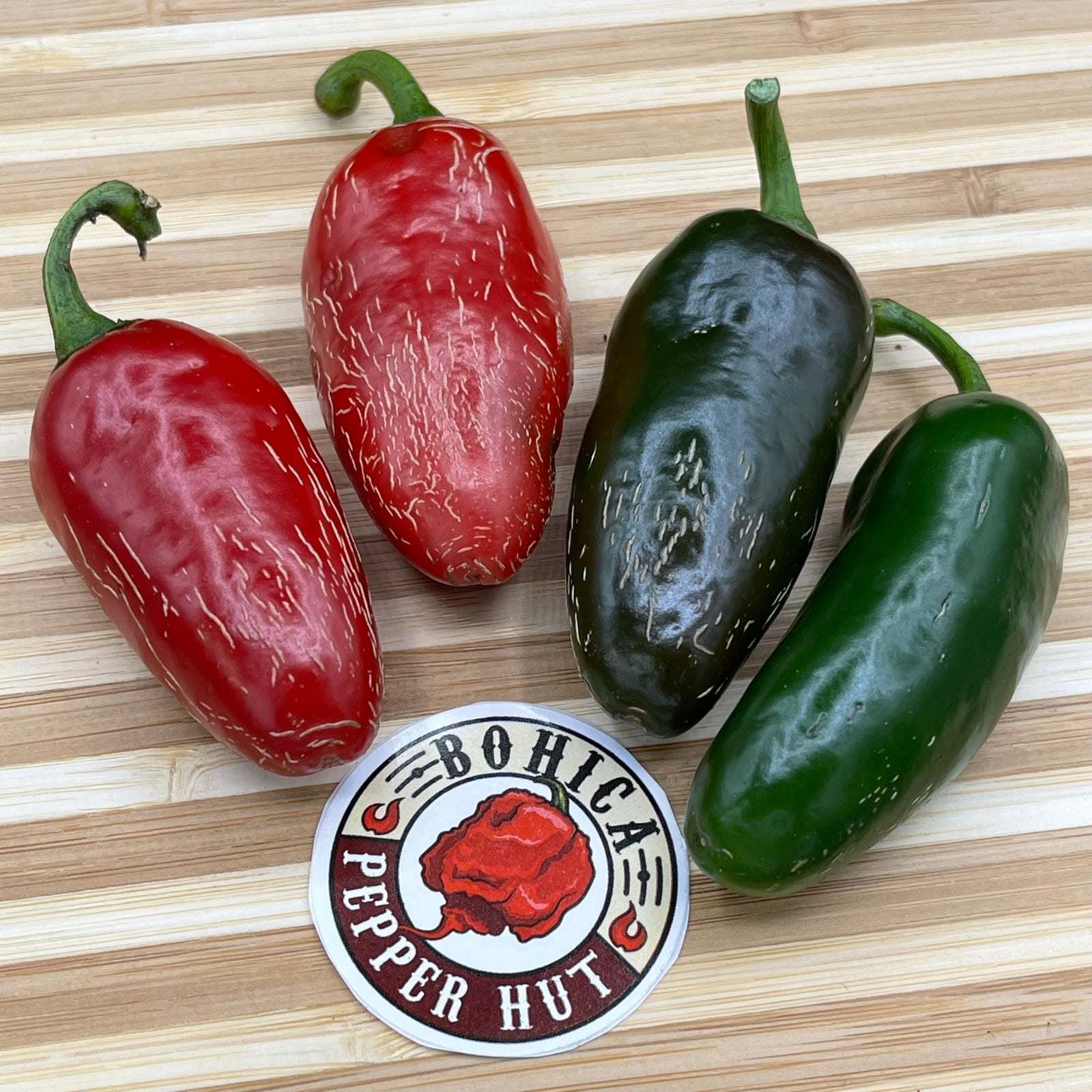 Jalapeno Zapotec - Seeds - Bohica Pepper Hut 