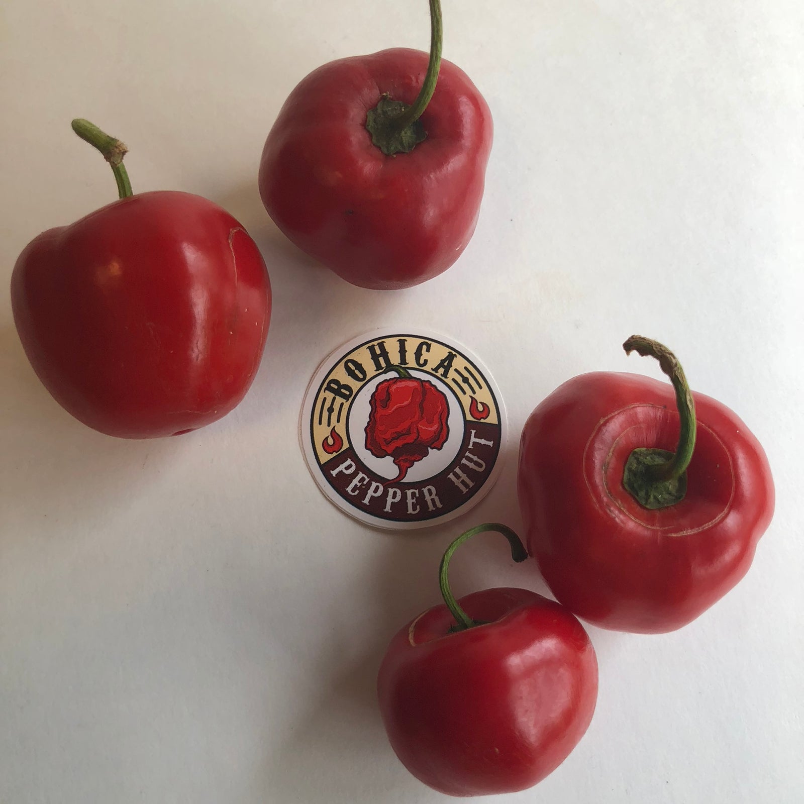 Manzano Red - Seeds - Bohica Pepper Hut 