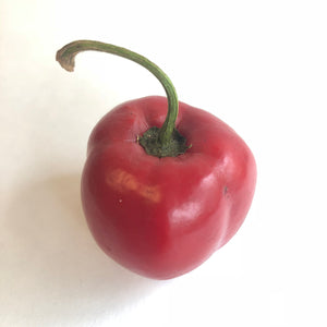 Manzano Red - Seeds - Bohica Pepper Hut 