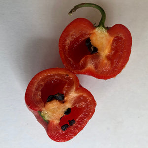 Manzano Red - Seeds - Bohica Pepper Hut 