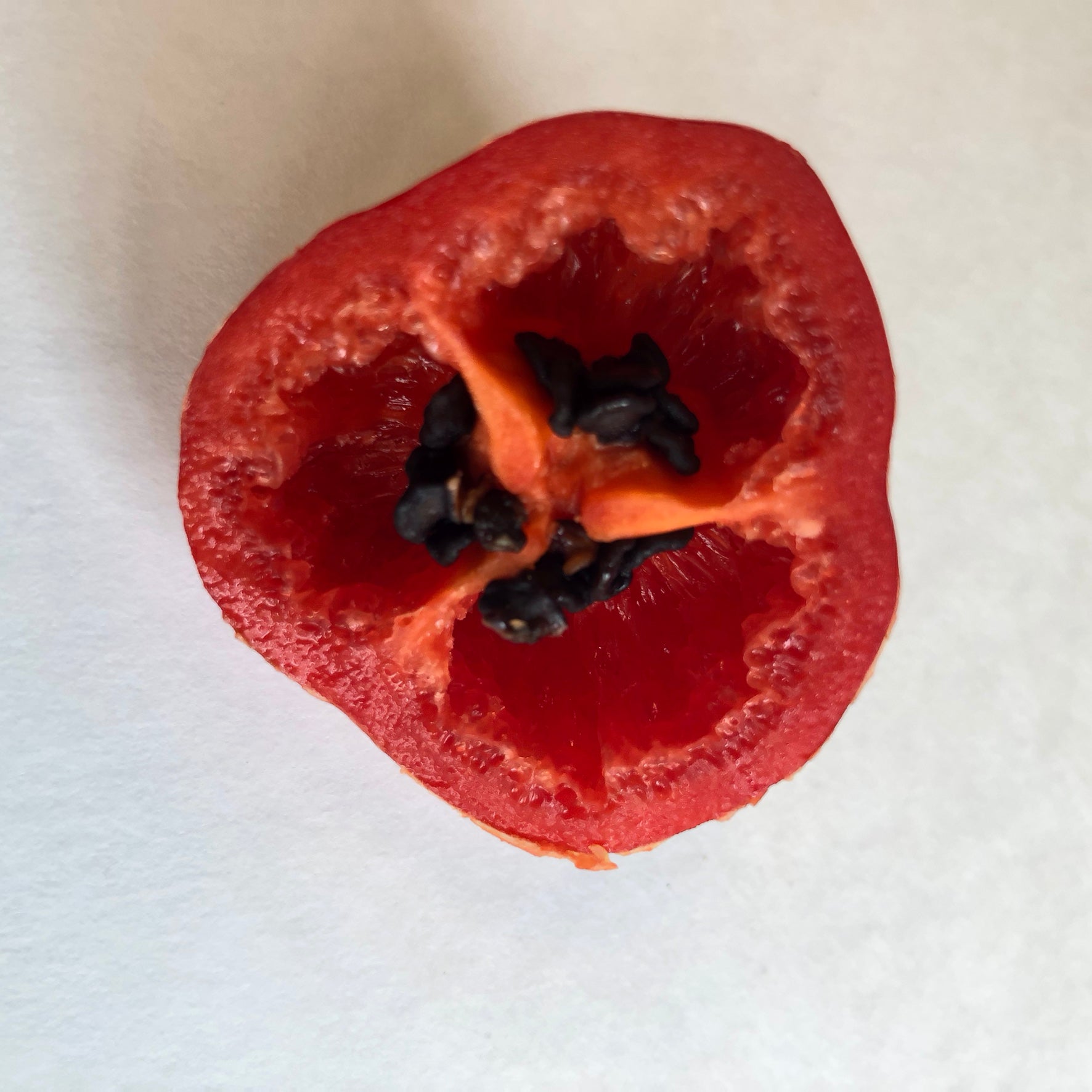 Puño Pica Manzano Pepper Seeds Puño Pica Manzano Pepper Seeds