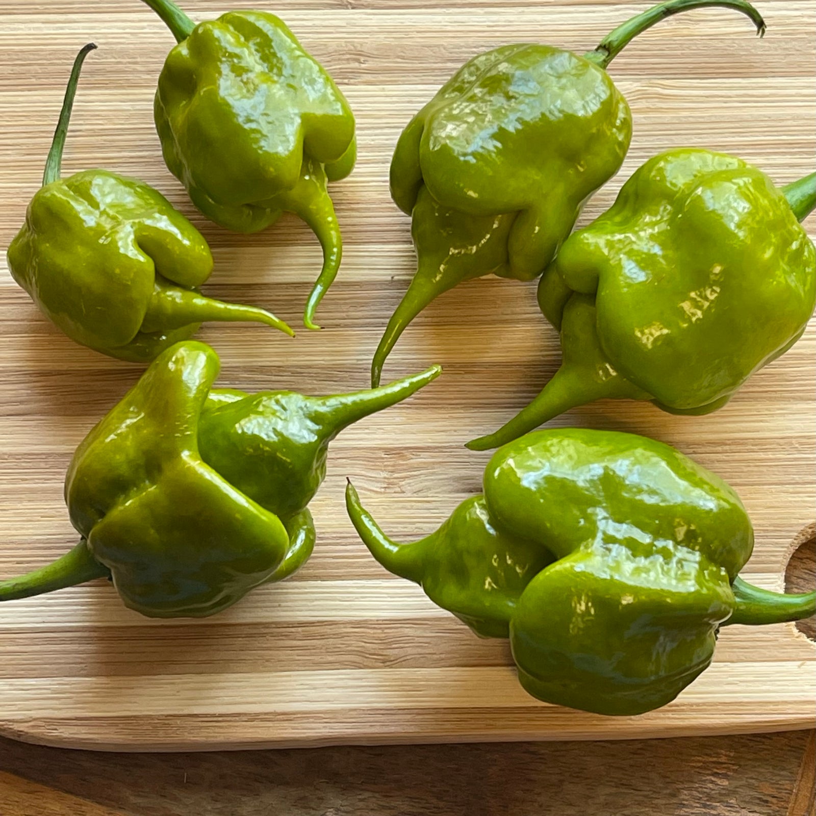 Mustard Carolina Reaper - Seeds - Bohica Pepper Hut 