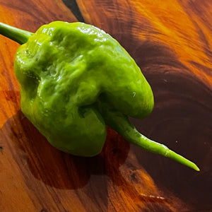 Mustard Carolina Reaper - Seeds - Bohica Pepper Hut 