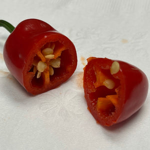 Hellapeño - Seeds - Bohica Pepper Hut 