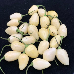 Habanero Yucatan White - Seeds - Bohica Pepper Hut 