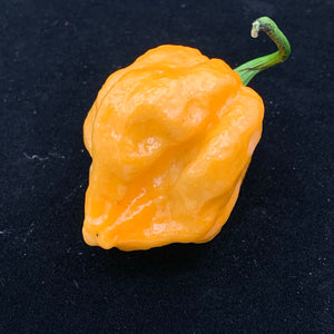 Fresh Super Hot Peppers - Mixed Peach Box:    All Peach colored peppers - Bohica Pepper Hut 