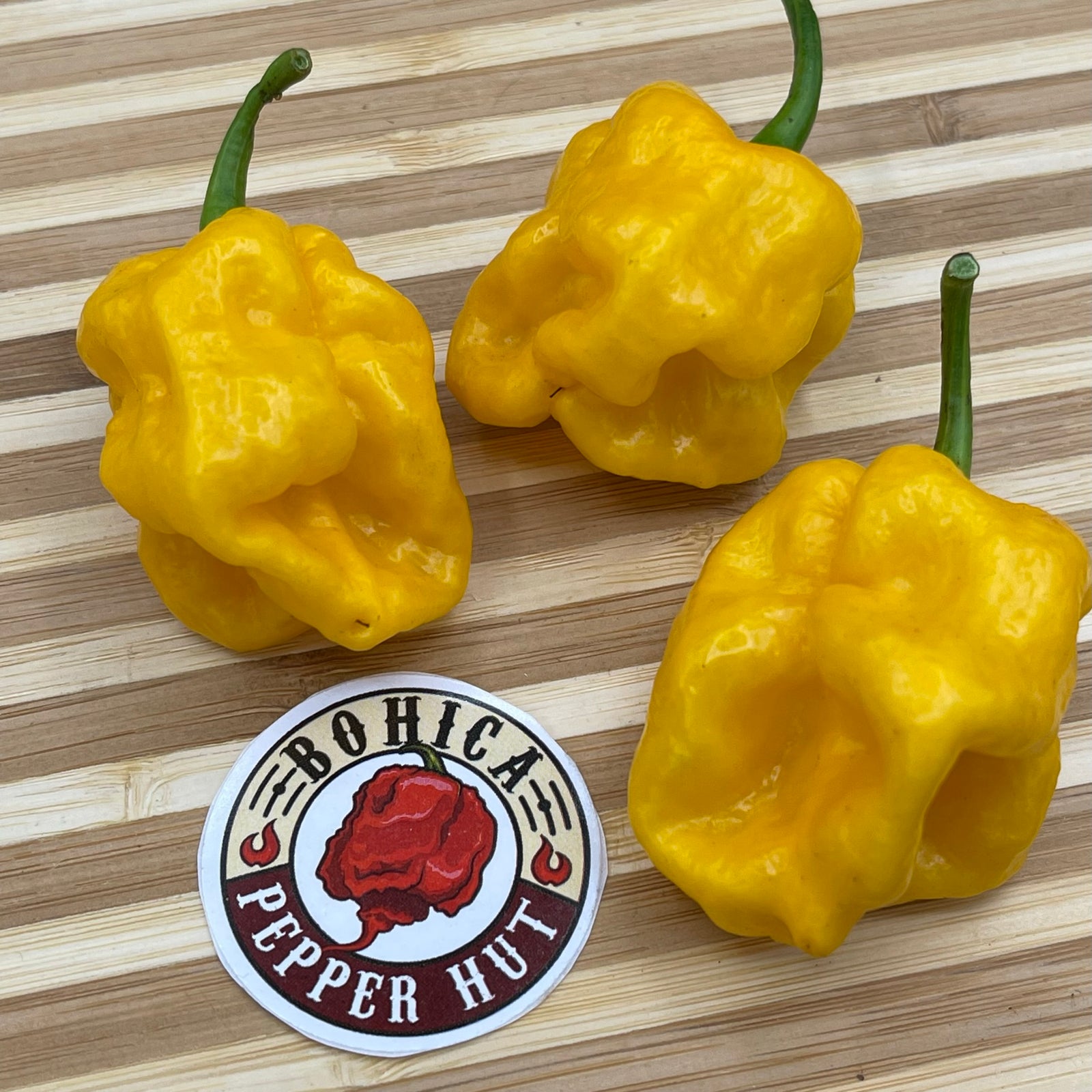 Lemon Habanero - Seeds - Bohica Pepper Hut 