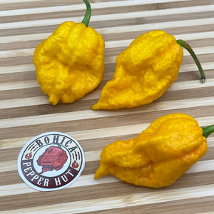 Yellow Fever - Seeds - Bohica Pepper Hut 