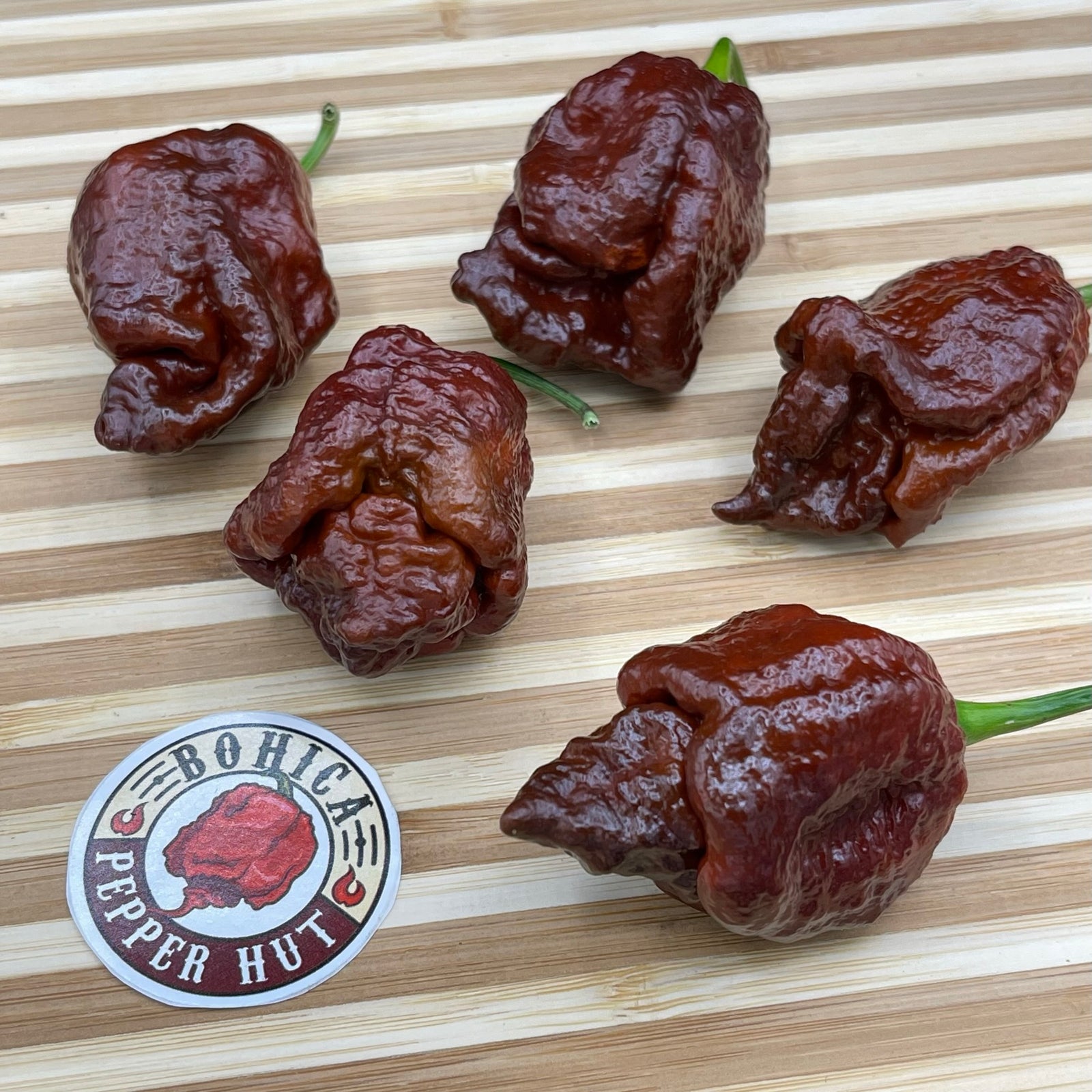 Amnesia - Seeds - Bohica Pepper Hut 