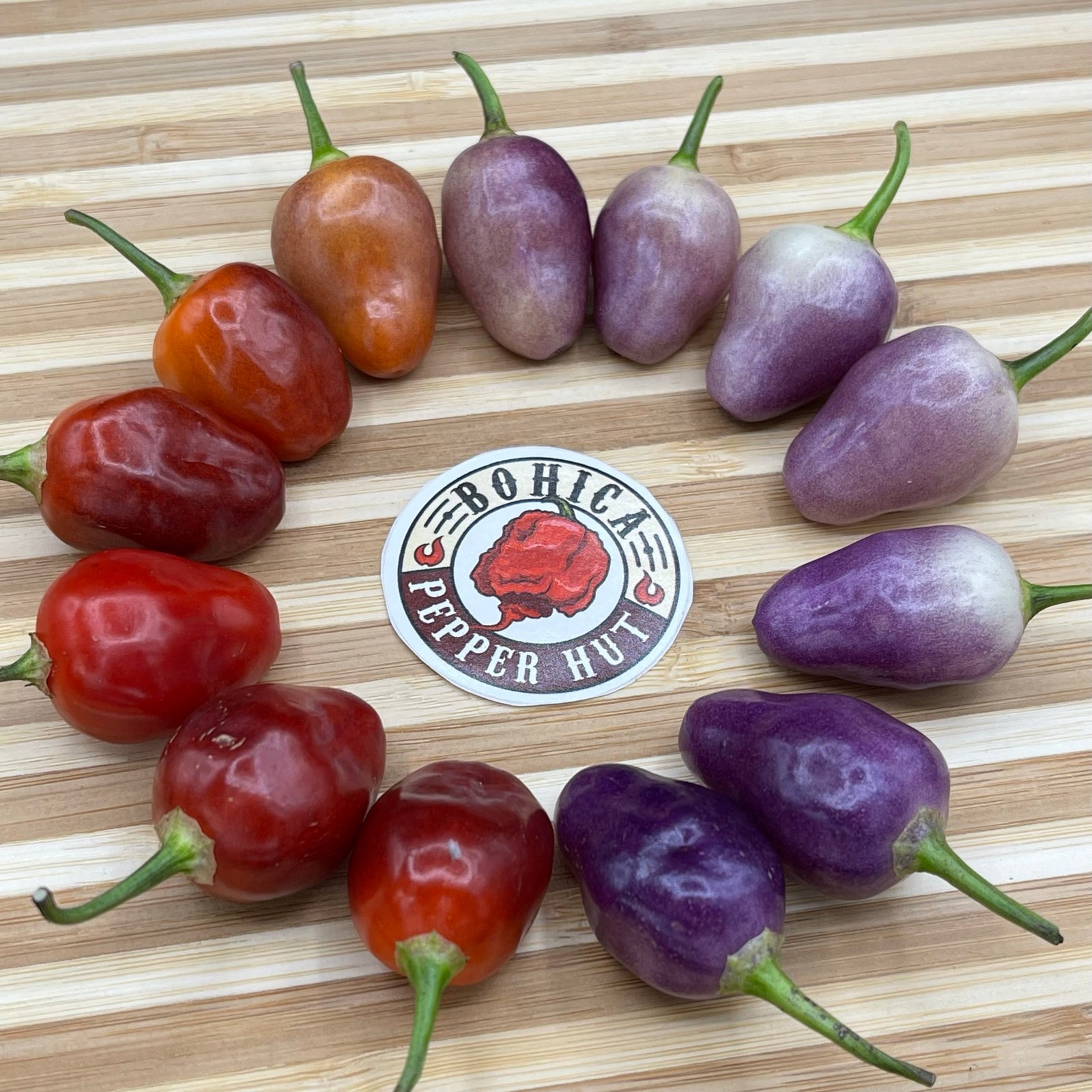 Aji Ayuyo - Seeds - Bohica Pepper Hut 