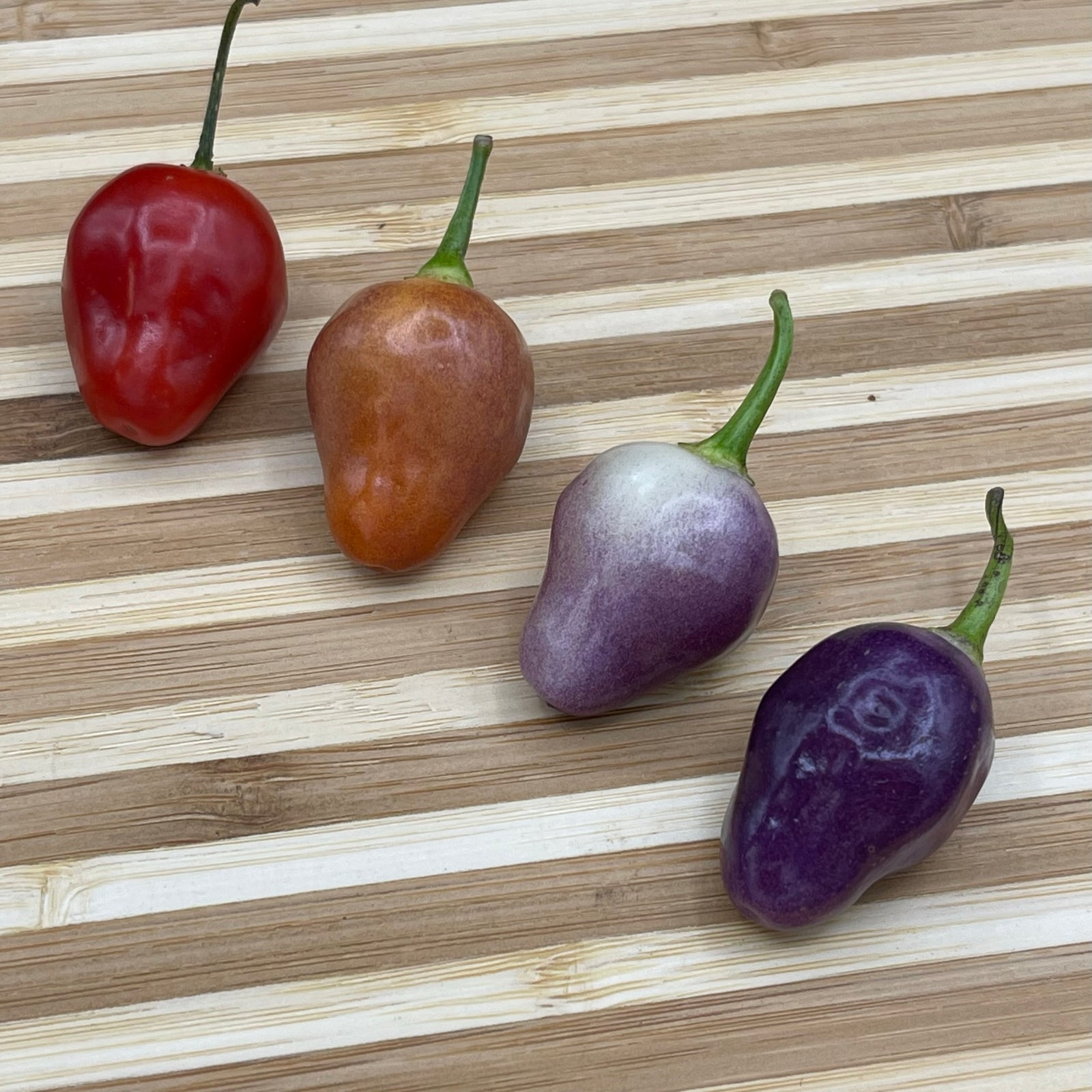 Aji Ayuyo - Seeds - Bohica Pepper Hut 