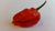 7 Pot Bhutlah Bubblegum Red - Seeds - Bohica Pepper Hut 