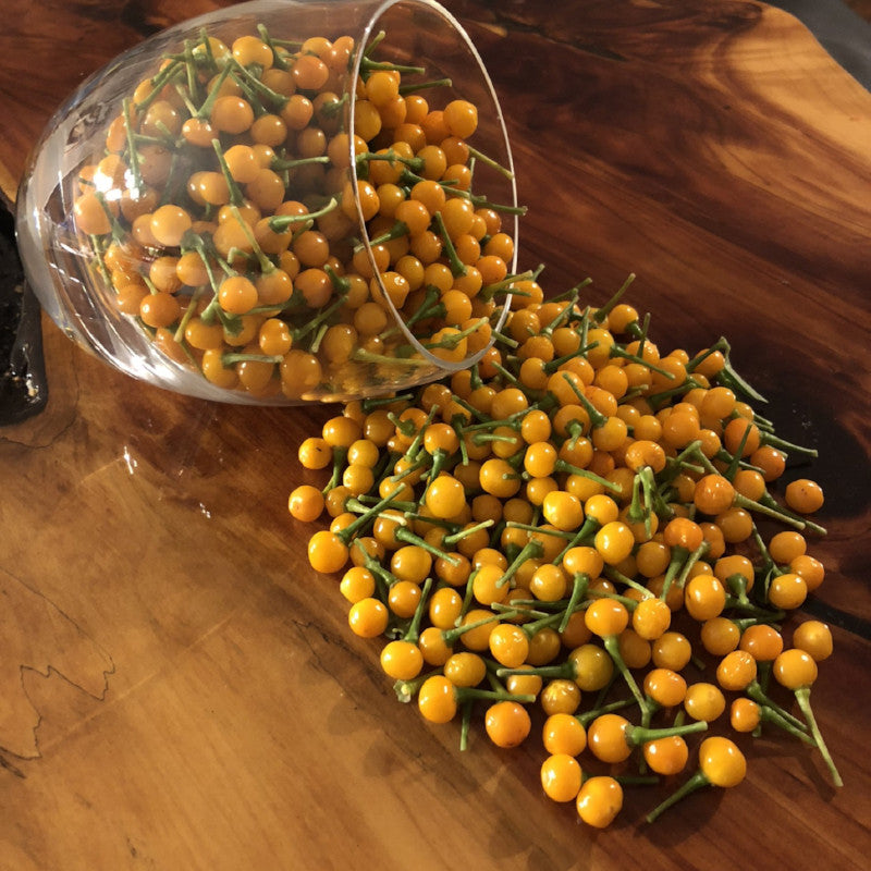 Aji - Pepper Seeds Combo Pack (7 Varieties) - Seeds - Bohica Pepper Hut 